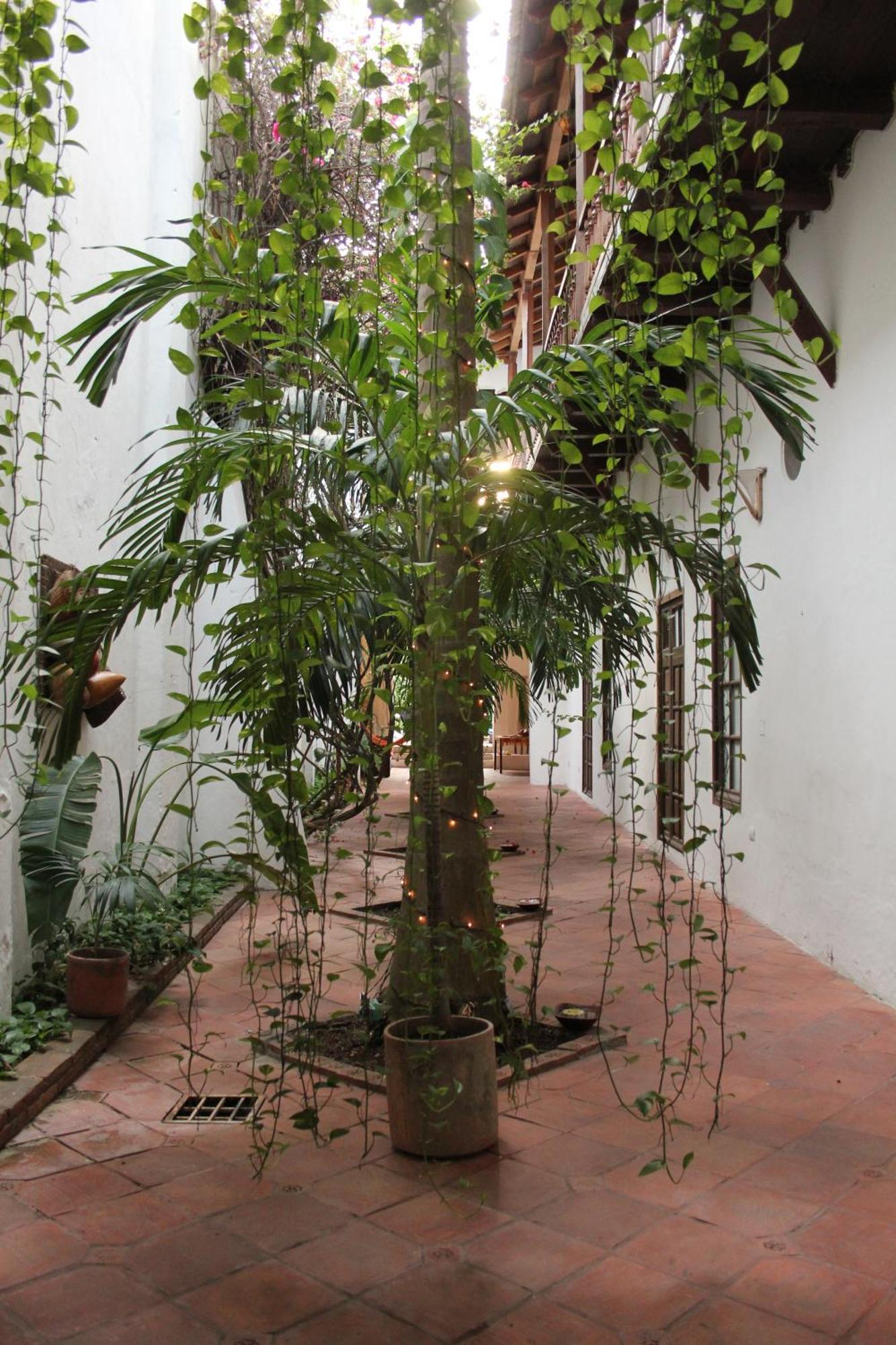 فندق Casa Del Tejadillo Cartagena المظهر الخارجي الصورة