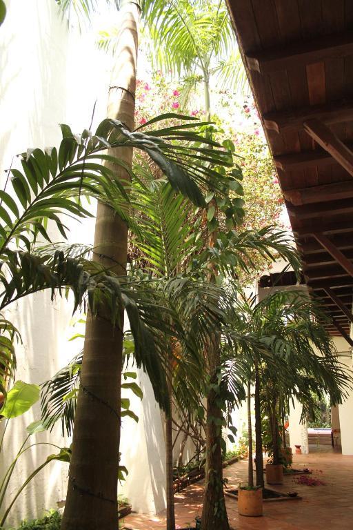 فندق Casa Del Tejadillo Cartagena المظهر الخارجي الصورة